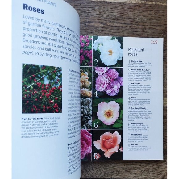 Grow Organic - gardening book. - Picture 2 of 5